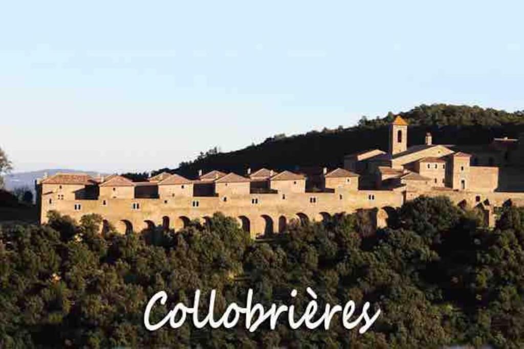 T3 Neuf Centre Village Collobrières Exterior foto